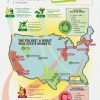 Real Estate forecast