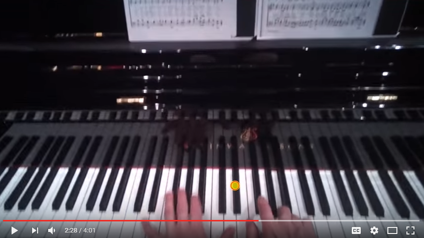 pianist hands