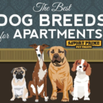 How To Choose Dog Breeds For Apartment Living