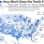 How Much Does the Tooth Fairy Pay in Each State?